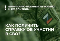 Справку об участии в СВО можно будет получить через портал «Госуслуг»